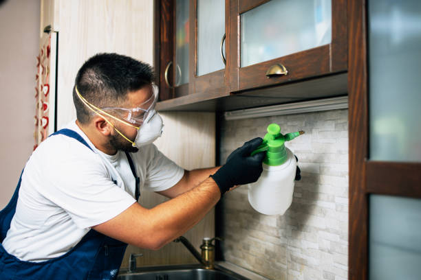 Best Mosquito Control Services  in Templeton, CA