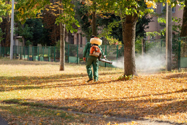 Best Pest Inspection Near Me  in Templeton, CA